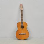 619682 Gitarr